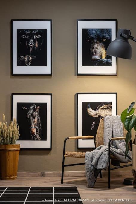 Casa269B - Cozy House With Scandinavian Design Moieciu de Jos Buitenkant foto