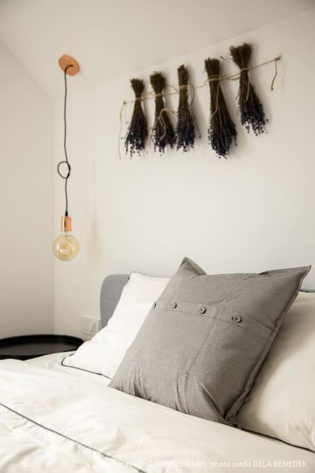 Casa269B - Cozy House With Scandinavian Design Moieciu de Jos Buitenkant foto